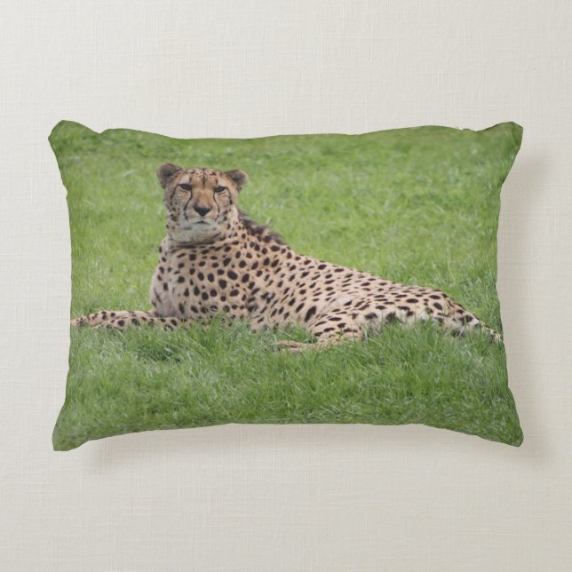 Cheetah Pillow (Front)