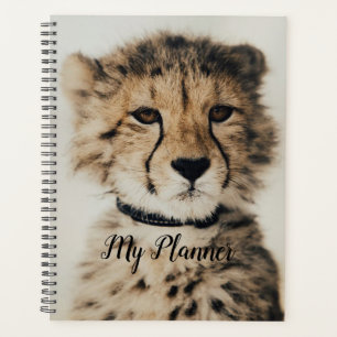 Cheetah Planner