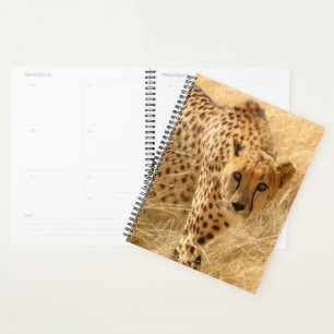 Cheetah Planner