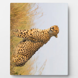 Cheetah Plaque
