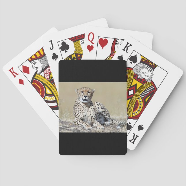 Cheetah Playing Cards (Back)