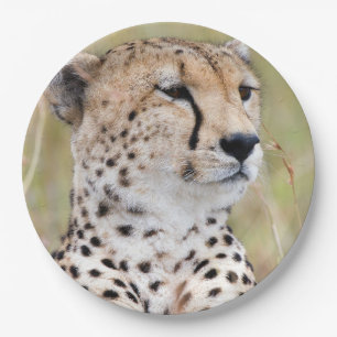 Cheetah portrait Big Cat photo Paper Plate