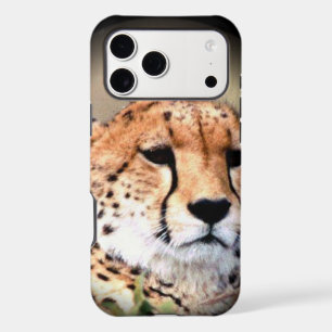 Cheetah Portrait by Full Moon: Nature's Grace