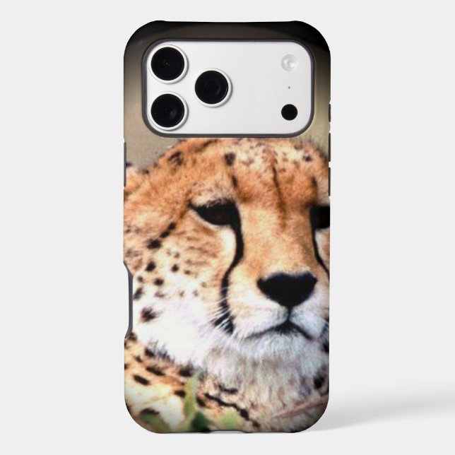 Cheetah Portrait by Full Moon: Nature's Grace (Back)