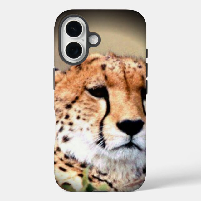 Cheetah Portrait by Full Moon: Nature's Grace Case-Mate iPhone Case (Back)
