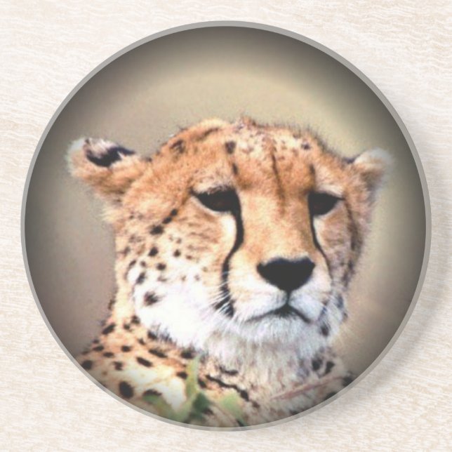Cheetah Portrait by Full Moon: Nature's Grace Coaster (Front)
