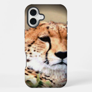 Cheetah Portrait by Full Moon: Nature's Grace iPhone Case