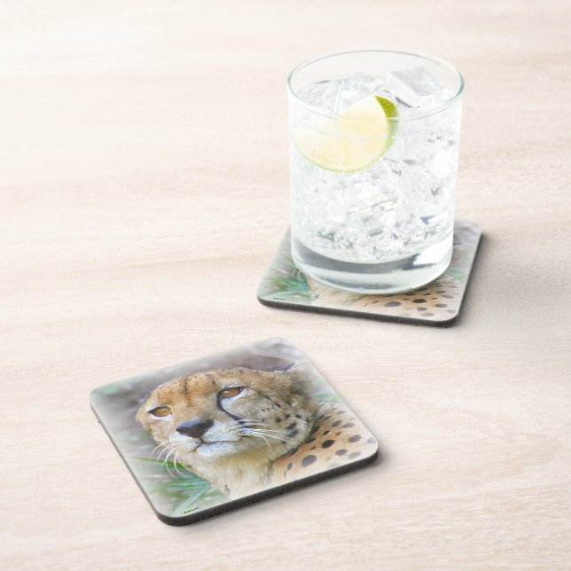 Cheetah portrait coaster (Right Side)