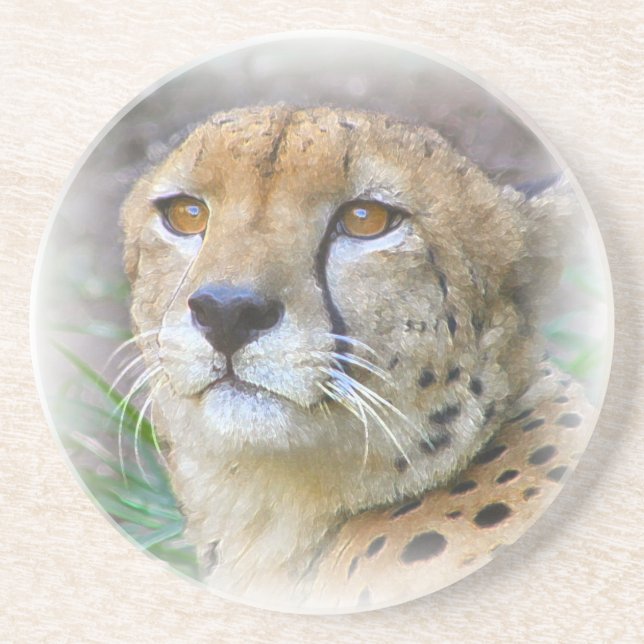Cheetah portrait coaster (Front)