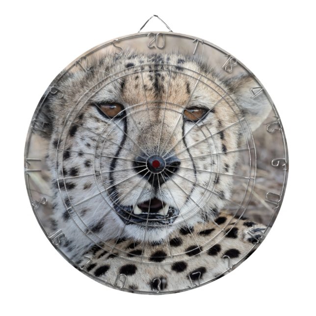 Cheetah Portrait Dartboard (Front)