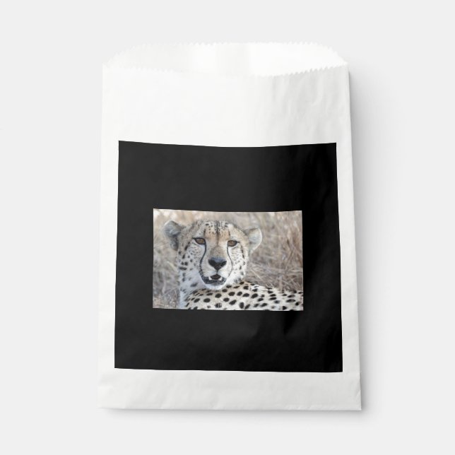 Cheetah Portrait Favour Bag (Front)