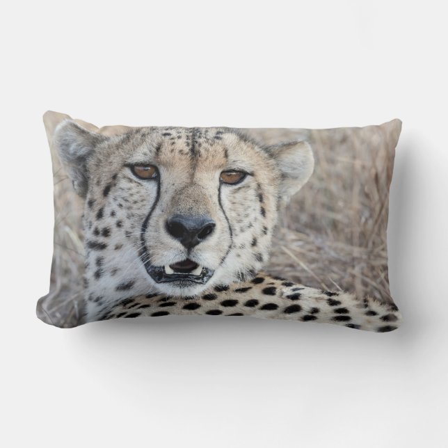 Cheetah Portrait Lumbar Cushion (Front)