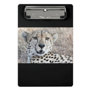 Cheetah Portrait Mini Clipboard