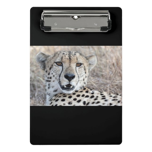 Cheetah Portrait Mini Clipboard (Front)