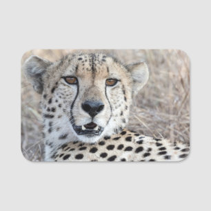 Cheetah Portrait Name Tag