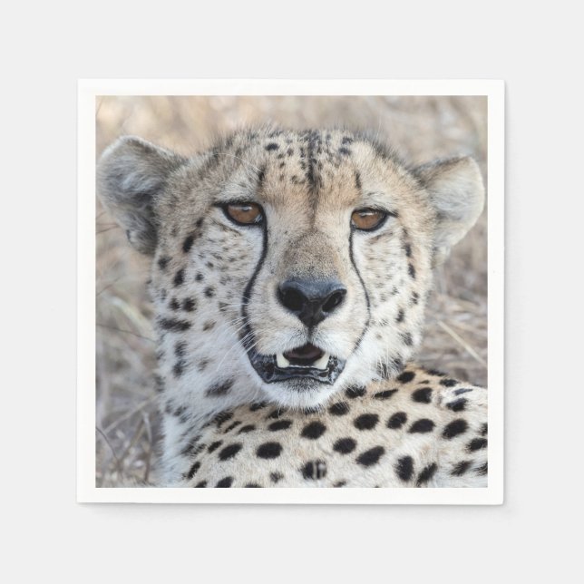Cheetah Portrait Napkin (Front)