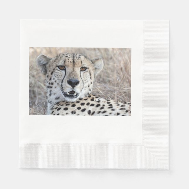 Cheetah Portrait Napkin (Front)