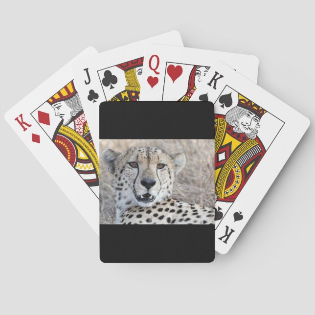 Cheetah Portrait Playing Cards (Back)