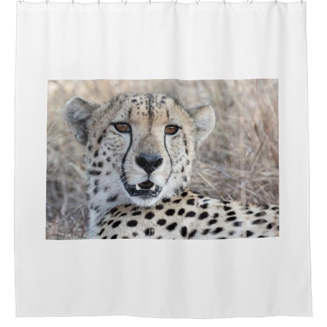 Cheetah Portrait Shower Curtain (Front)
