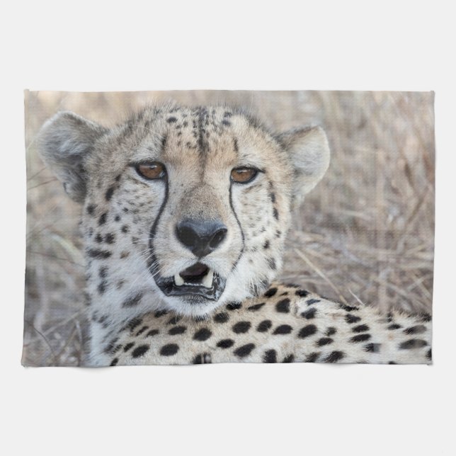 Cheetah Portrait Tea Towel (Horizontal)