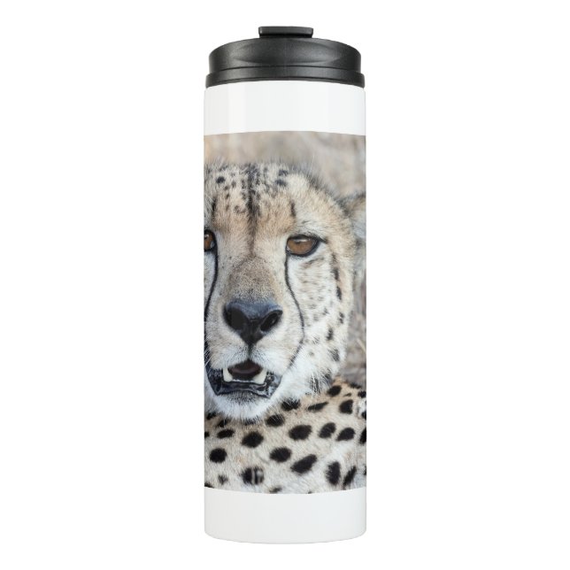 Cheetah Portrait Thermal Tumbler (Front)