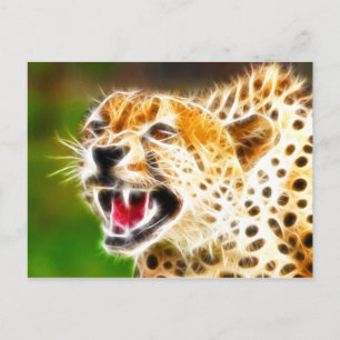 Cheetah Postcard