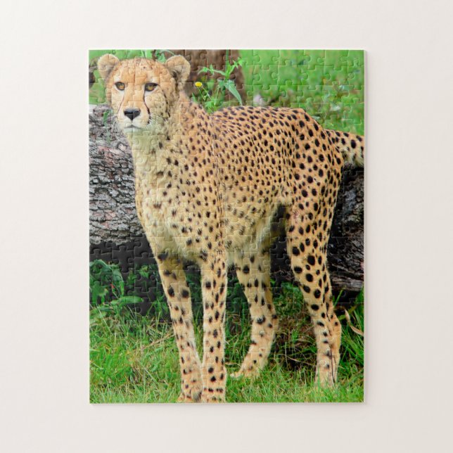 Cheetah Puzzle (Vertical)