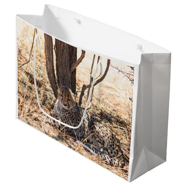 Cheetah relaxing under a tree large gift bag (Front Angled)