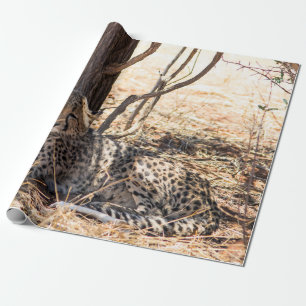 Cheetah relaxing under a tree wrapping paper