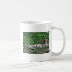 Cheetah Resting Coffee Mug
