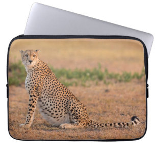 Cheetah Resting in Early Morning Laptop Sleeve