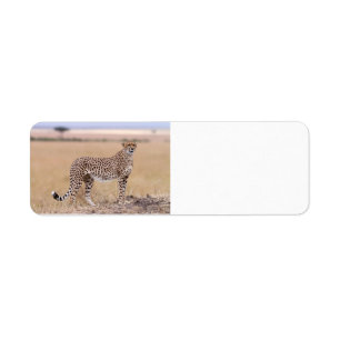 Cheetah Return Address Label
