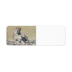 Cheetah Return Address Label