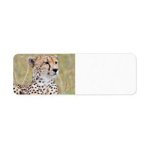 Cheetah Return Address Label