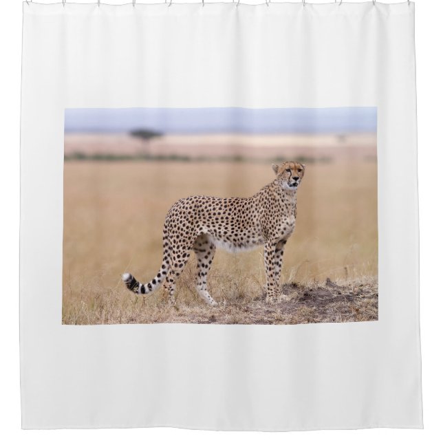 Cheetah Shower Curtain (Front)