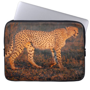 Cheetah South Africa at Sunset Laptop Sleeve