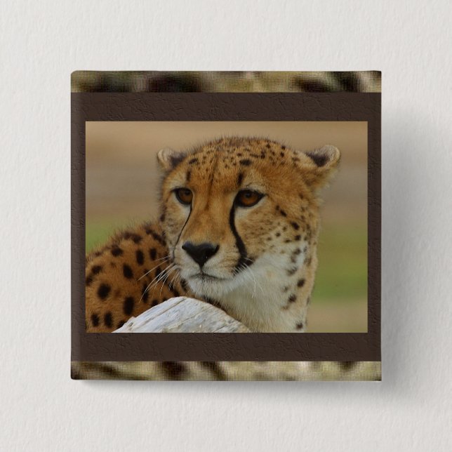 Cheetah Square Button (Front)