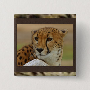 Cheetah Square Button
