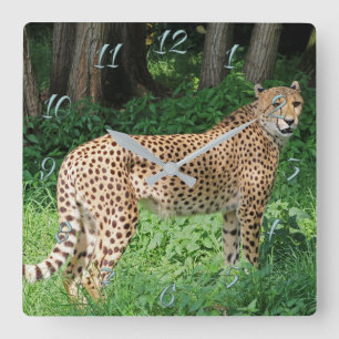 Cheetah Square Wall Clock
