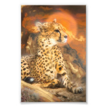 CHEETAH STANDING DOWN