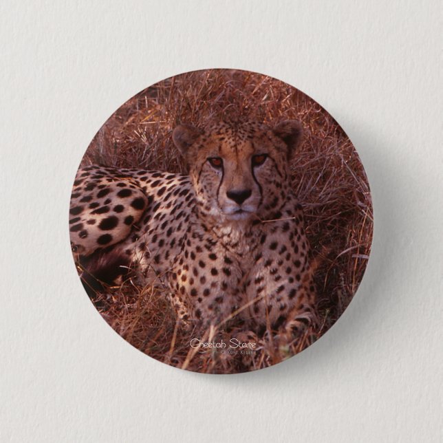 Cheetah Stare 6 Cm Round Badge (Front)