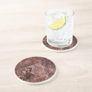 Cheetah Stare Coaster