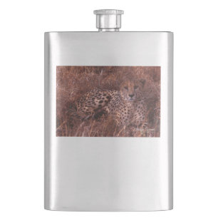 Cheetah Stare Hip Flask
