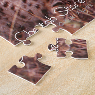 Cheetah Stare Jigsaw Puzzle