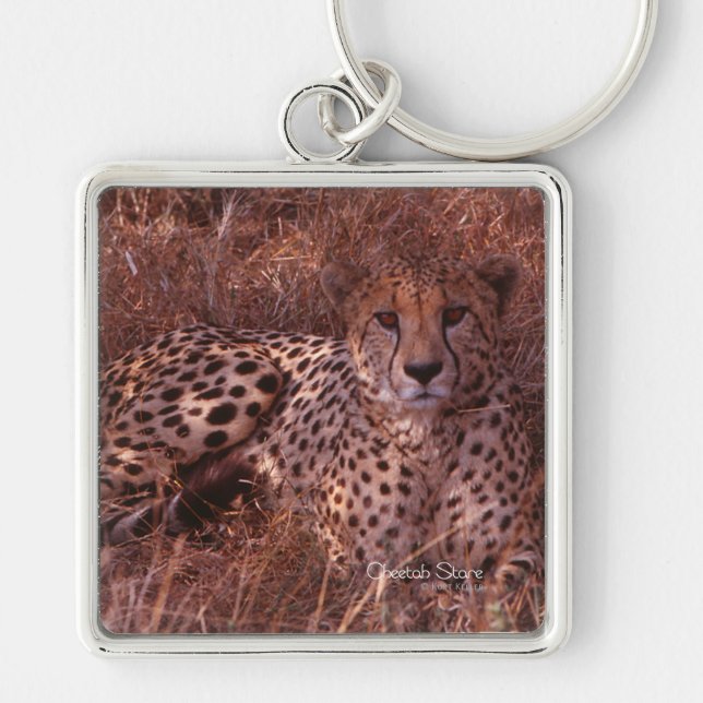 Cheetah Stare Key Ring (Front)