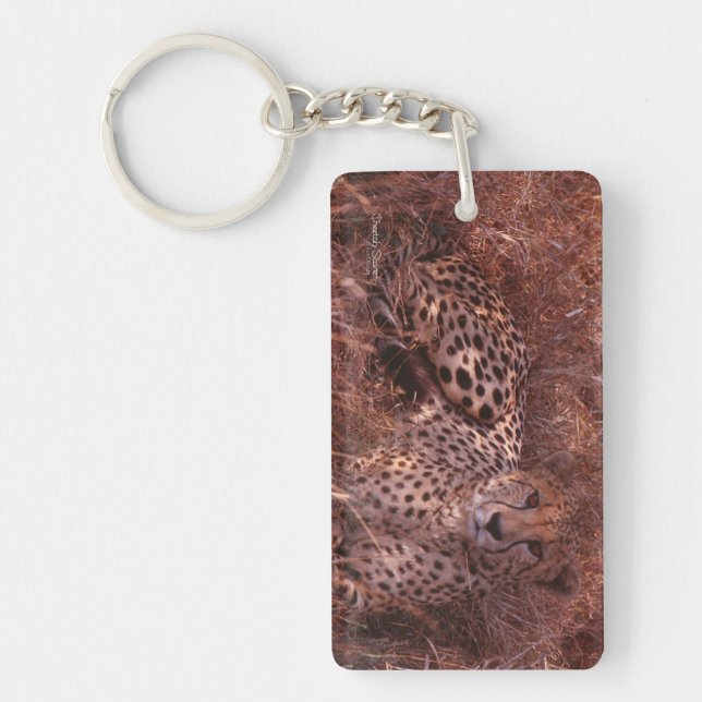 Cheetah Stare Key Ring (Front)