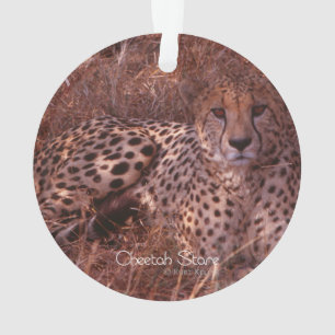 Cheetah Stare Ornament