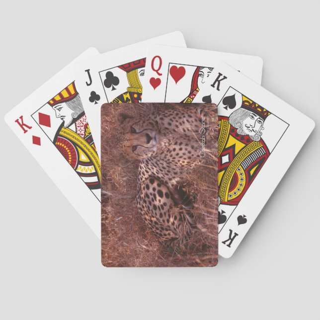 Cheetah Stare Playing Cards (Back)