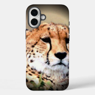 Cheetah Tear Marks Hakunamatata iPhone 16 Plus Case