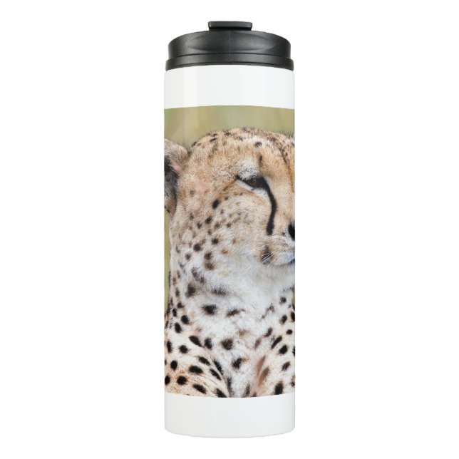 Cheetah Thermal Tumbler (Front)